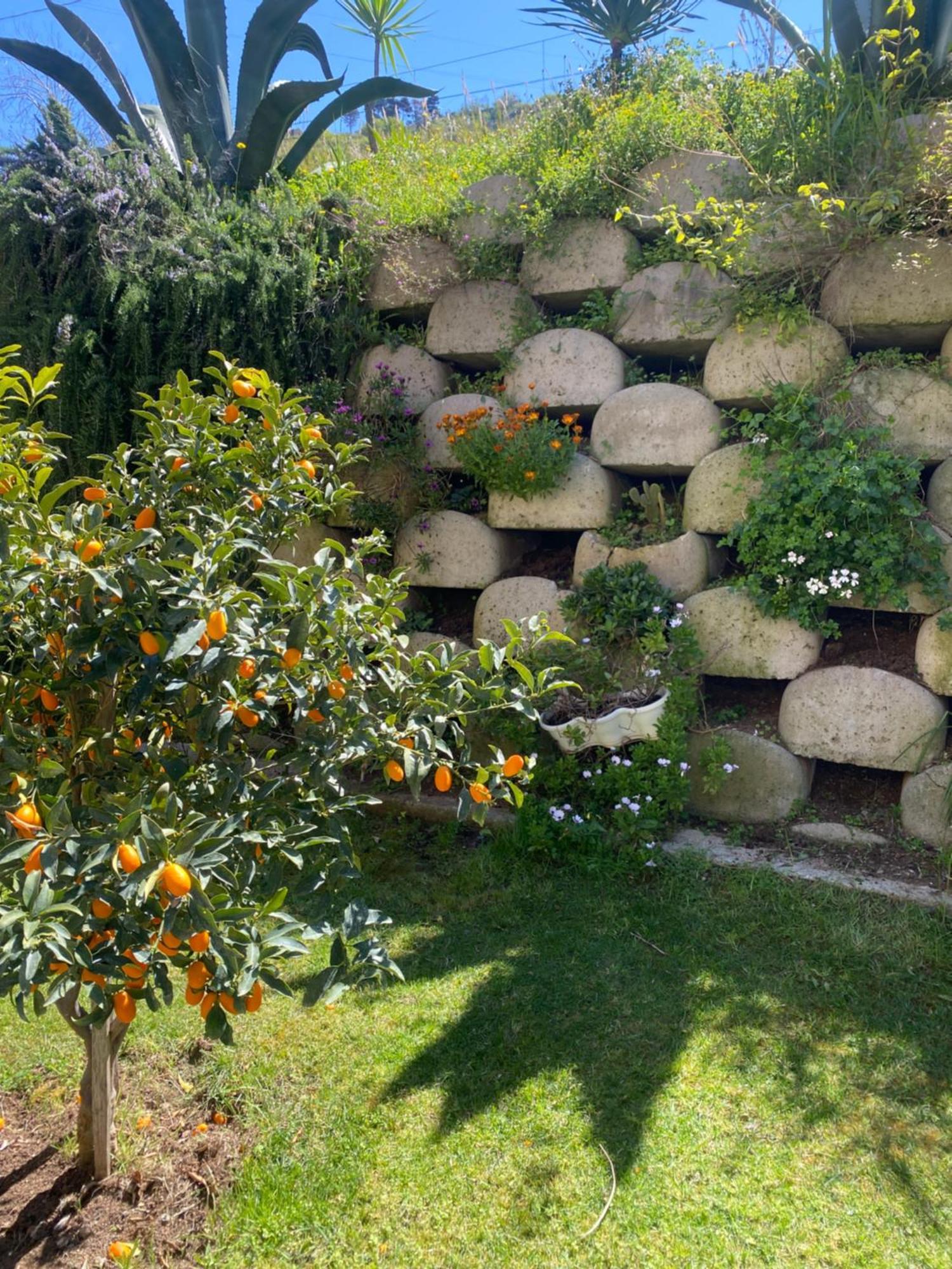 Residenza Roma Bed and Breakfast Tropea Exteriör bild
